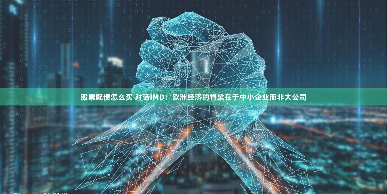 股票配债怎么买 对话IMD：欧洲经济的脊梁在于中小企业而非大公司